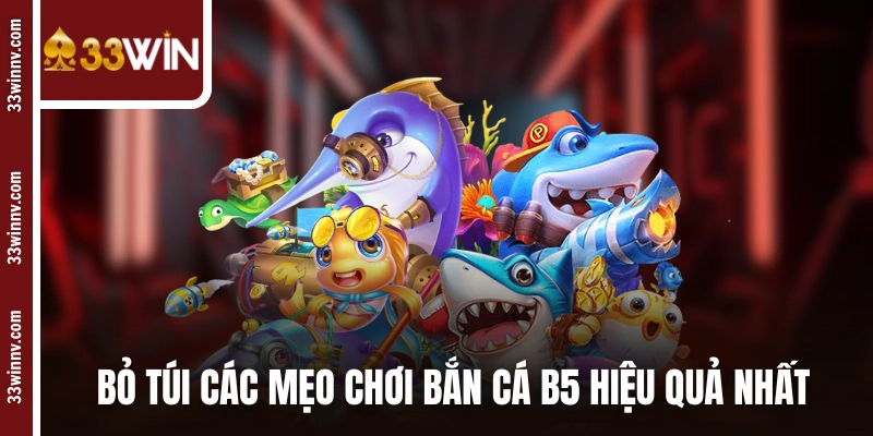 Bỏ túi các mẹo chơi bắn cá B5 hiệu quả nhất