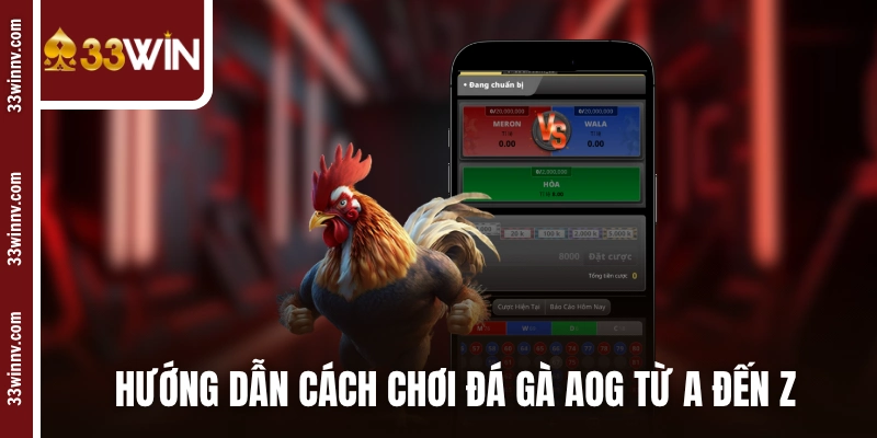 Hướng dẫn cách chơi đá gà AOG từ A đến Z