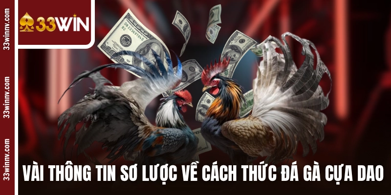 Vài thông tin sơ lược về cách thức đá gà cựa dao