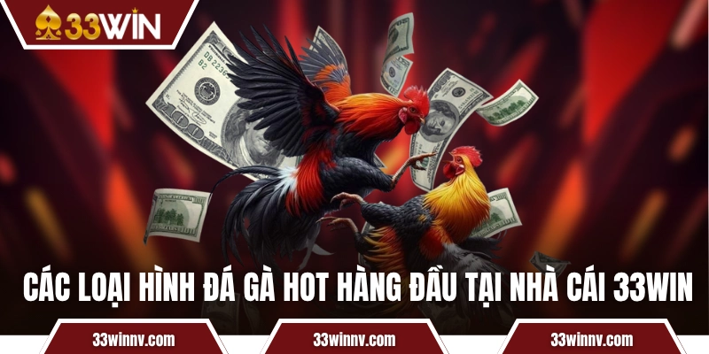 Các loại hình đá gà hot hàng đầu tại nhà cái 33WIN