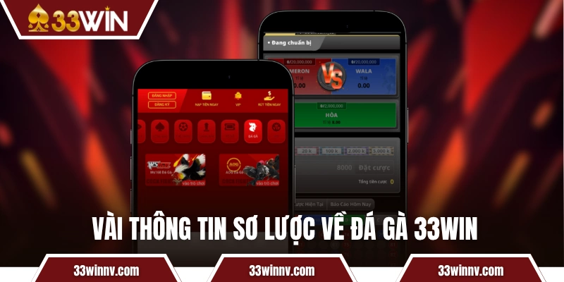 Vài thông tin sơ lược về đá gà 33WIN