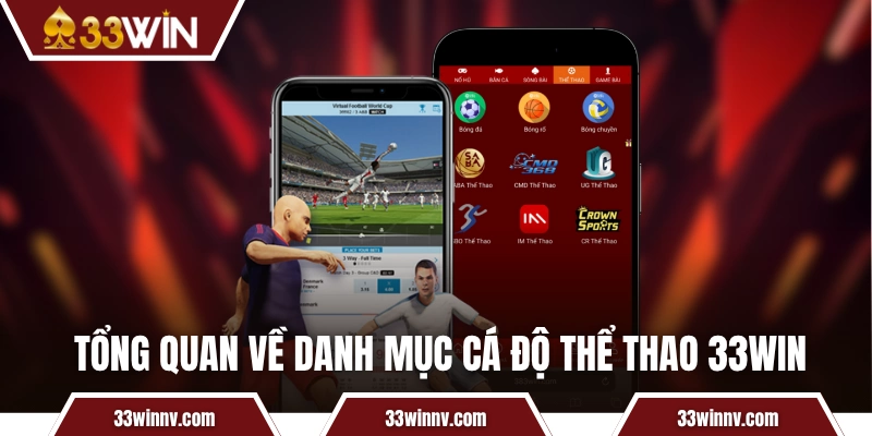 Tổng quan về danh mục cá độ thể thao 33WIN
